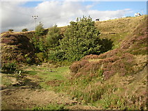 SE1220 : Disused quarry in The Rough, Elland by Humphrey Bolton