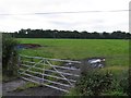 Field near to Copt Oak