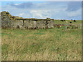 HY5706 : Ruinous croft house in farmland, Deerness by Mark Crook