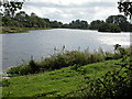 Lake at Cotswold Carp Farm