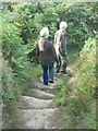 SW5929 : Down the steps on Tregonning Hill by Rich Tea