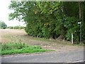 Footpath and former main road