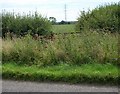 Footpath meets the Warkton - Slipton road