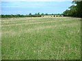 Avenue of ridge and furrow