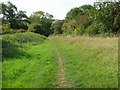 Bridleway to Barton Seagrave