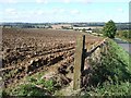 Fields near Cublington