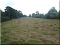 field of hay, Inverugie