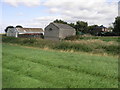 Greenhouses and Shed