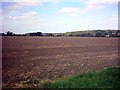 TM3067 : Fields next to the B1120 Framlingham Road by Geographer