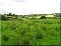 Bockets Hill Townland