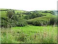 Lurganmore Townland