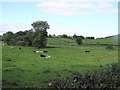 Tullyallen Townland