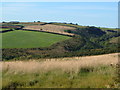 Dittiscombe from above Alston Wash