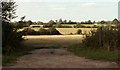 Countryside near Beazley End, Essex