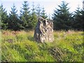 SN8028 : Standing stone on Mynydd Myddfai above Usk reservoir by Nigel Davies