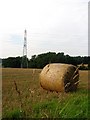 Hay bale near Berthapark