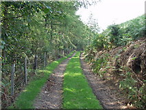 SJ1843 : Public access path towards Dol Fawr by John Haynes