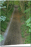 SU6016 : Meon Valley Trail, seen from bridge in Cutts Arch, Soberton by Peter Facey