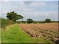 Ploughed field near Ightfield Hall