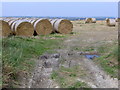 Straw bales near Ridgeway Farm