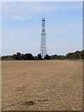 SU2076 : Mast on Whitefield Hill by Phil Champion