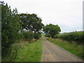 Track/Road leading to High Grains