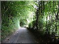 Green tunnel