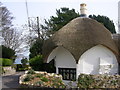 SY3392 : Umbrella Cottage, Lyme Regis by Richard Slessor