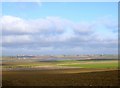 Bridgemarsh Island and marshes looking north across the River Crouch, Essex