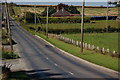 The High Road from Donaghadee