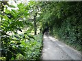 Looking back up the hill