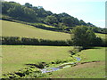 Stream at Branscombe