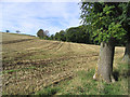 Looking across a stubble field from Samieston