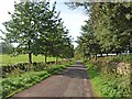 NY5469 : Country road near Askerton Castle by Oliver Dixon