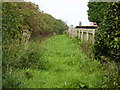 Footpath to the rear of Flamingo Land Mobile Homes