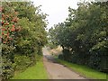 Track leading to Budshaw Farm