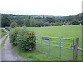 Farmland at Glan-ddwynant