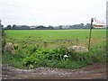 Farm Buildings, Pasford