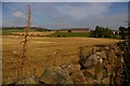 Field near Halfwaywell