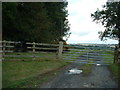 Farm track to Great Leasows