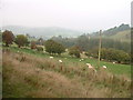 Nant Heulog valley