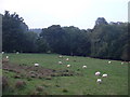 Farmland by the A5