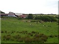 W0433 : Farm near Hollyhill by Richard Webb