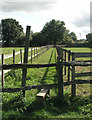 Stile on (well delineated) footpath