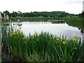 SP2487 : Lake at Maxstoke Hall Farm by Chris Henley