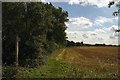 Footpath at Stockhold Green