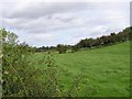 H7852 : Tullymore Townland by Kenneth  Allen