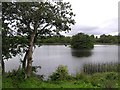 H6954 : Carnteel Lough by Kenneth  Allen