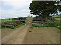 Doe Hill Farm, farm buildings