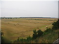 Bales as far as the eye can see.